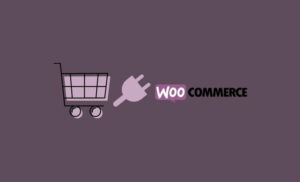 WooCommerce extensions plugins