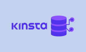 Kinsta Hosting Review: Is it the Best WordPress Hosting For Your Website?