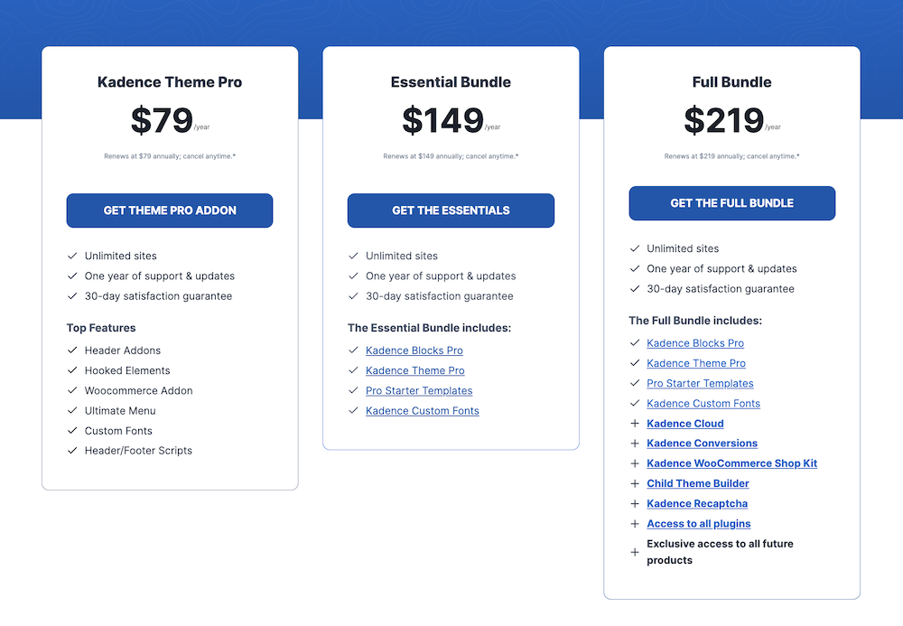 Kadence Theme Pricing 