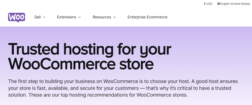 Secure WooCommerce Hosting